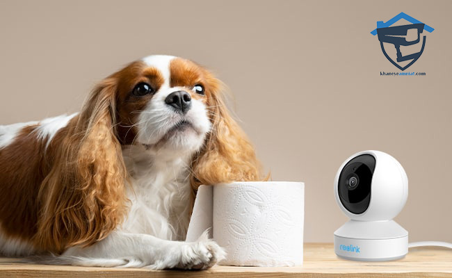 دوربین مداربسته با قابلیت تشخیص حیوانات خانگی