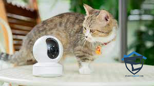 دوربین مداربسته با قابلیت تشخیص حیوانات خانگی