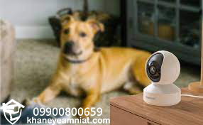 دوربین مداربسته با قابلیت تشخیص حیوانات خانگی