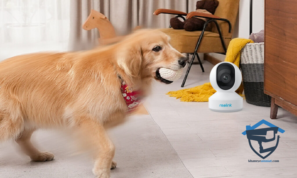 دوربین مداربسته با قابلیت تشخیص حیوانات خانگی