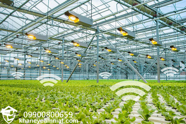 دوربین مداربسته مزارع و گلخانه