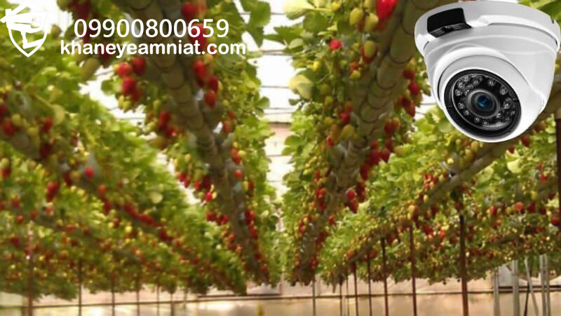 دوربین مداربسته مزارع و گلخانه